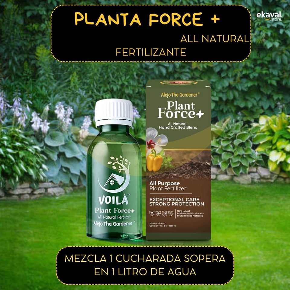 Plant Force+ Concentrado totalmente natural