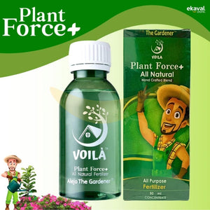 Plant Force+ Concentrado totalmente natural