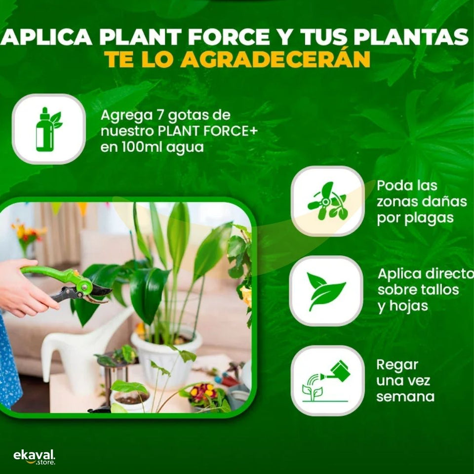 Plant Force+ Concentrado totalmente natural